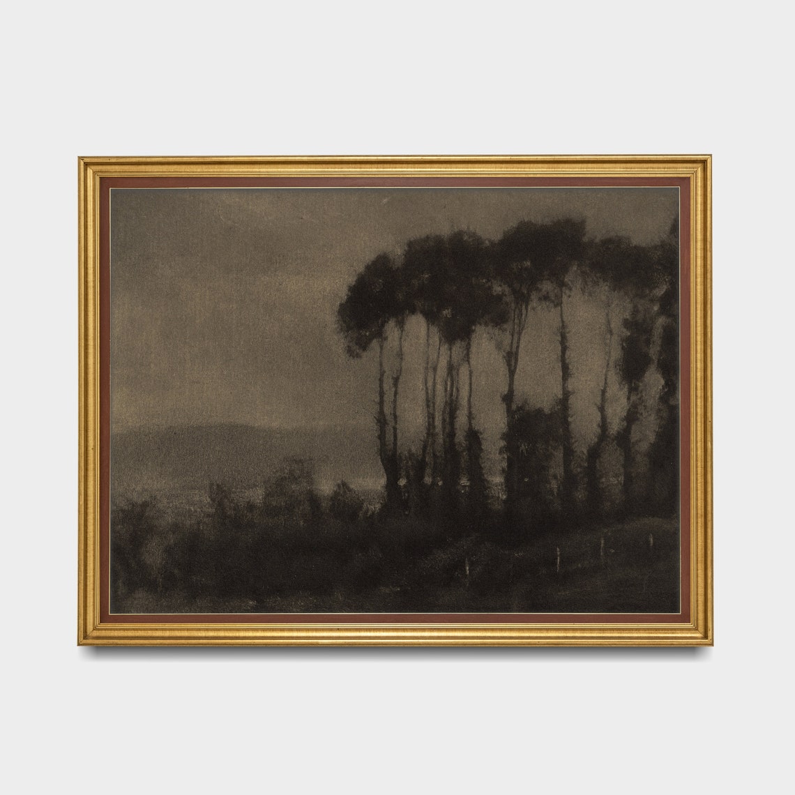 Tall Poplars Silhouetted Under a Dark Brooding Gray Sky Poster - Image 3