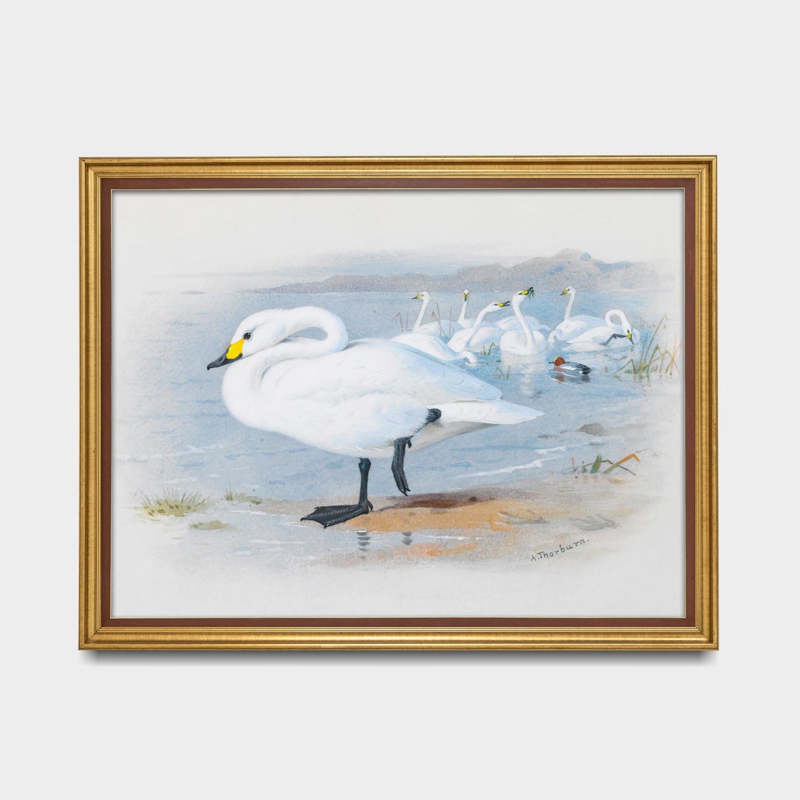 Graceful White Swans at a Misty Lakeshore Vintage Bird Poster - Image 5
