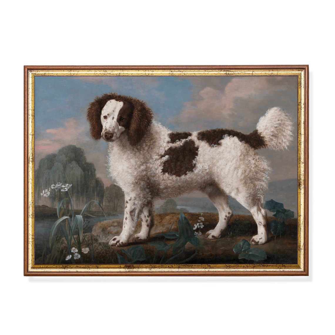Brown and White Spaniel Standing in a Country Landscape Poster