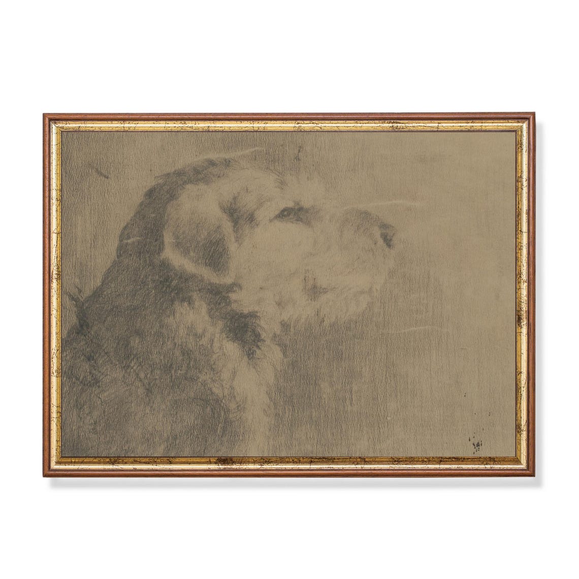 Charcoal Shaggy Dog Head Portrait Sketch Rustic Animal Art Poster