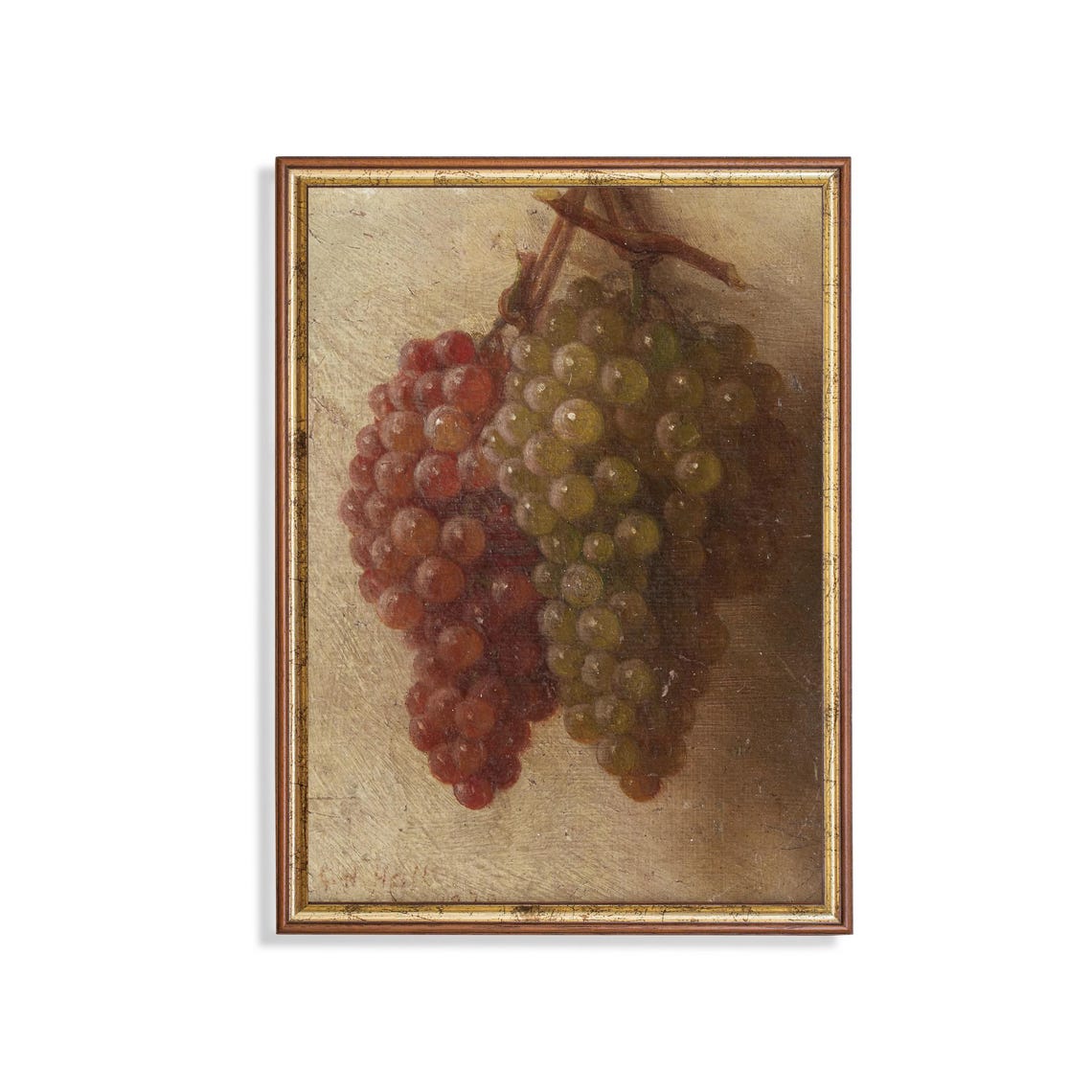 Hanging Red and Green Grape Clusters Still Life Study Poster