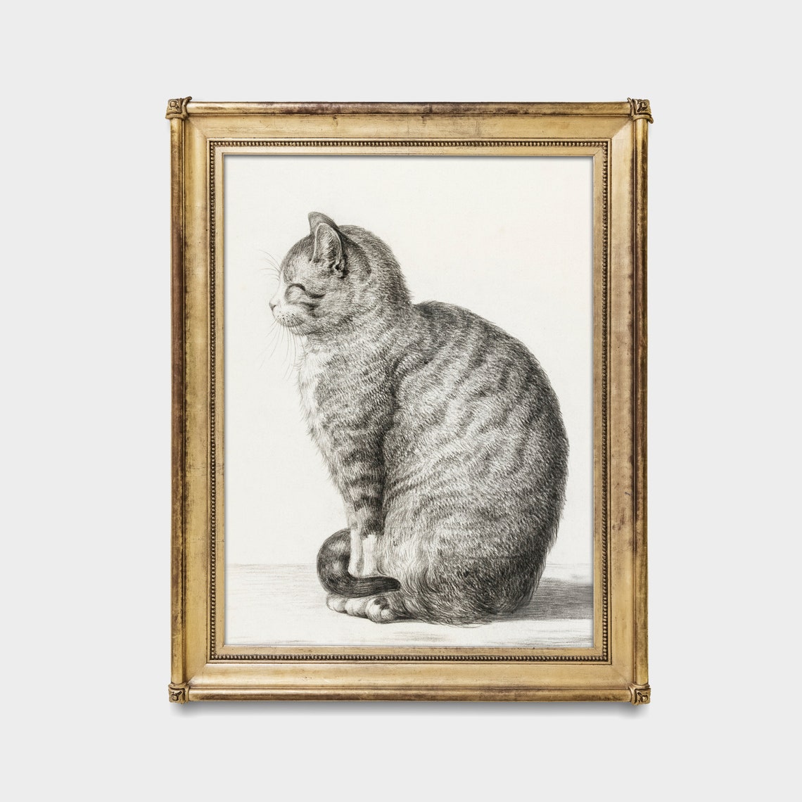 Vintage Tabby Cat Sketch Drawing Neutral Minimalist Animal Wall Art - Image 4