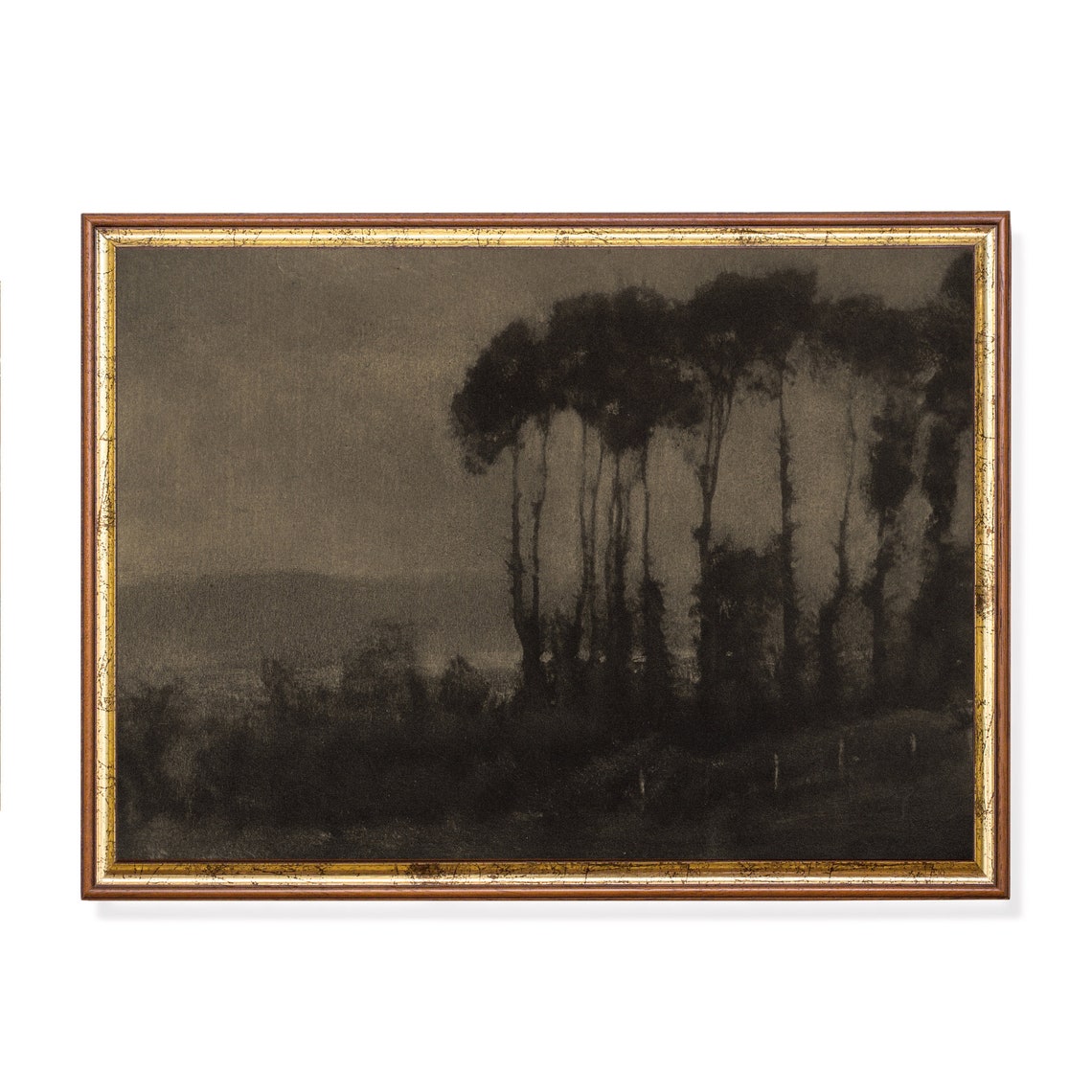Tall Poplars Silhouetted Under a Dark Brooding Gray Sky Poster
