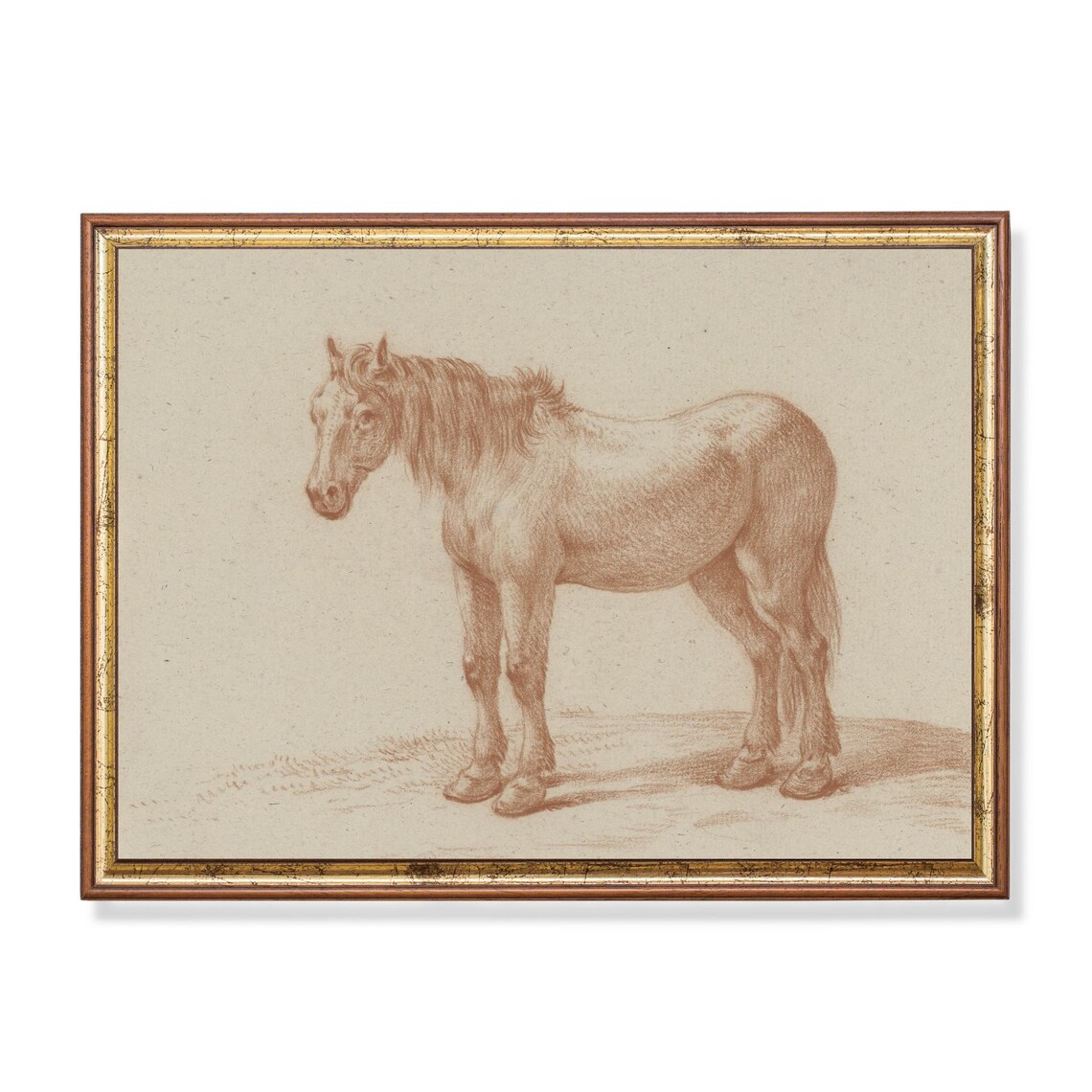 Standing Horse in Profile in Red Chalk Vintage Sketch Poster
