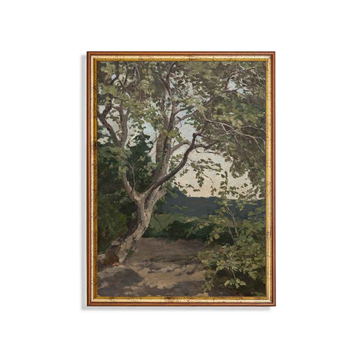 Tall Leaning Tree in a Shady Green Grove Antique Landscape Poster