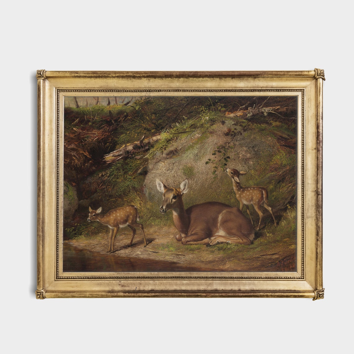 Doe With Two Spotted Fawns By A Forest Stream Vintage Wildlife Poster - Image 4