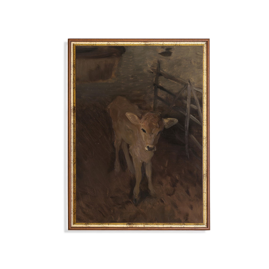 Young Calf Standing in a Dark Rustic Barn Vintage Farm Poster