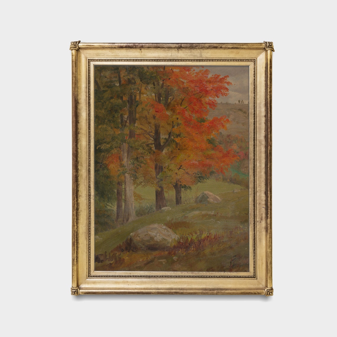 Brilliant Red Maple Trees at the Forest Edge Autumn Scene Poster - Image 2