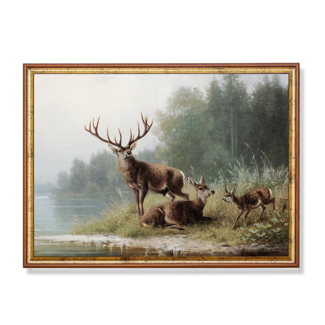 Stag Doe and Fawn at Misty Lake Vintage Deer Painting Poster