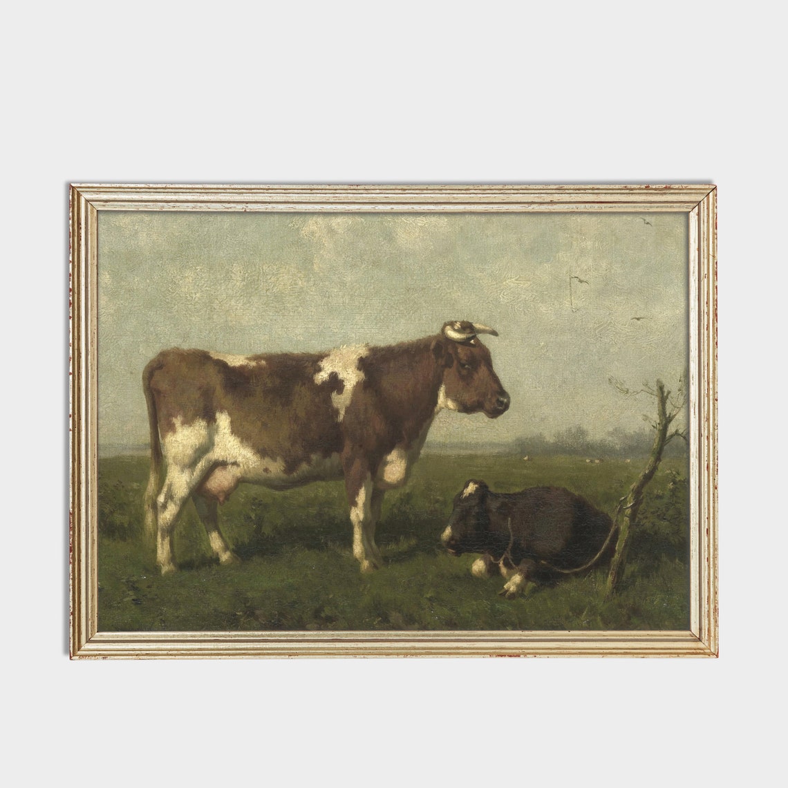 Two Cows in a Green Pasture One Standing and One Resting Poster - Image 2