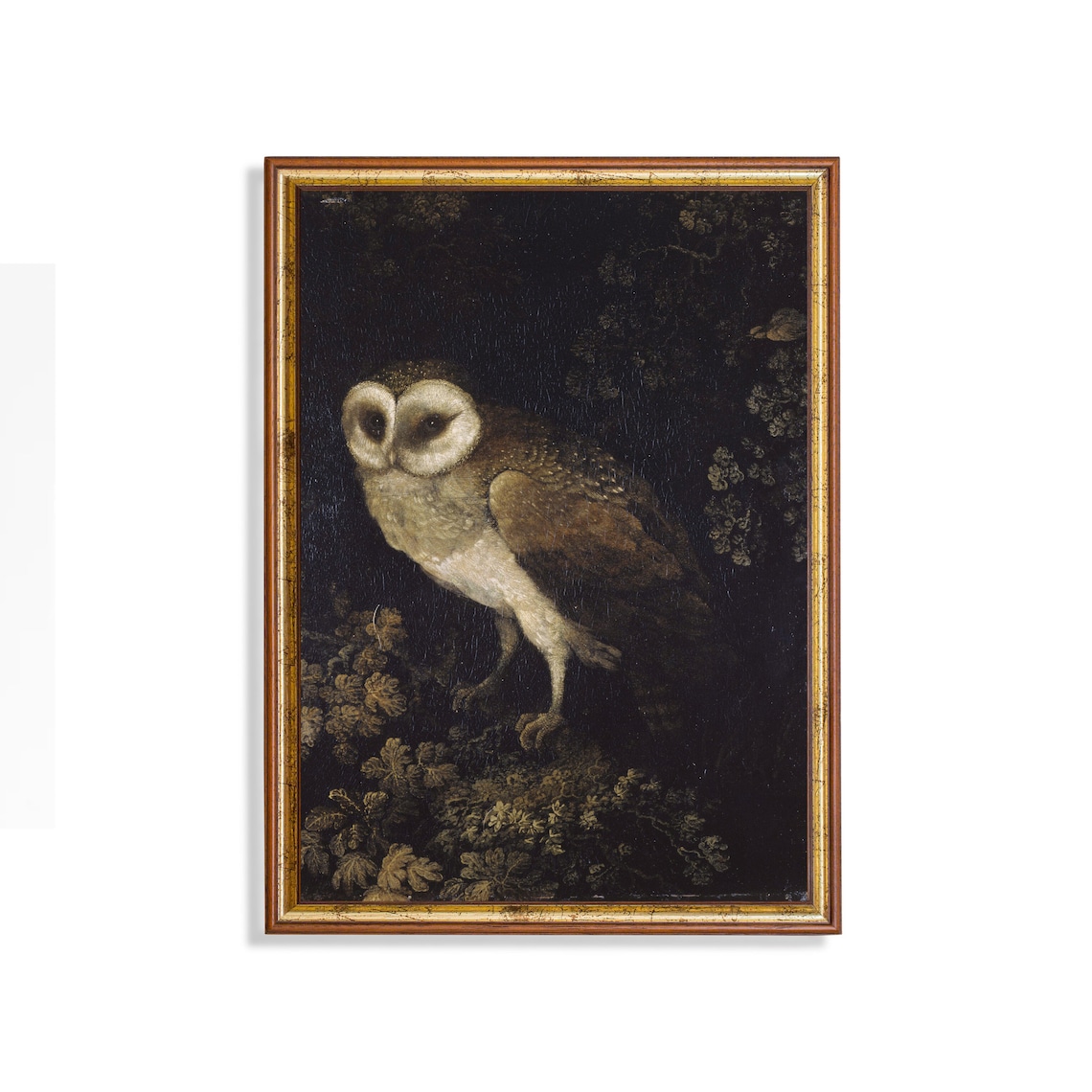 Vintage Owl Painting, Dark Academia Bird Print