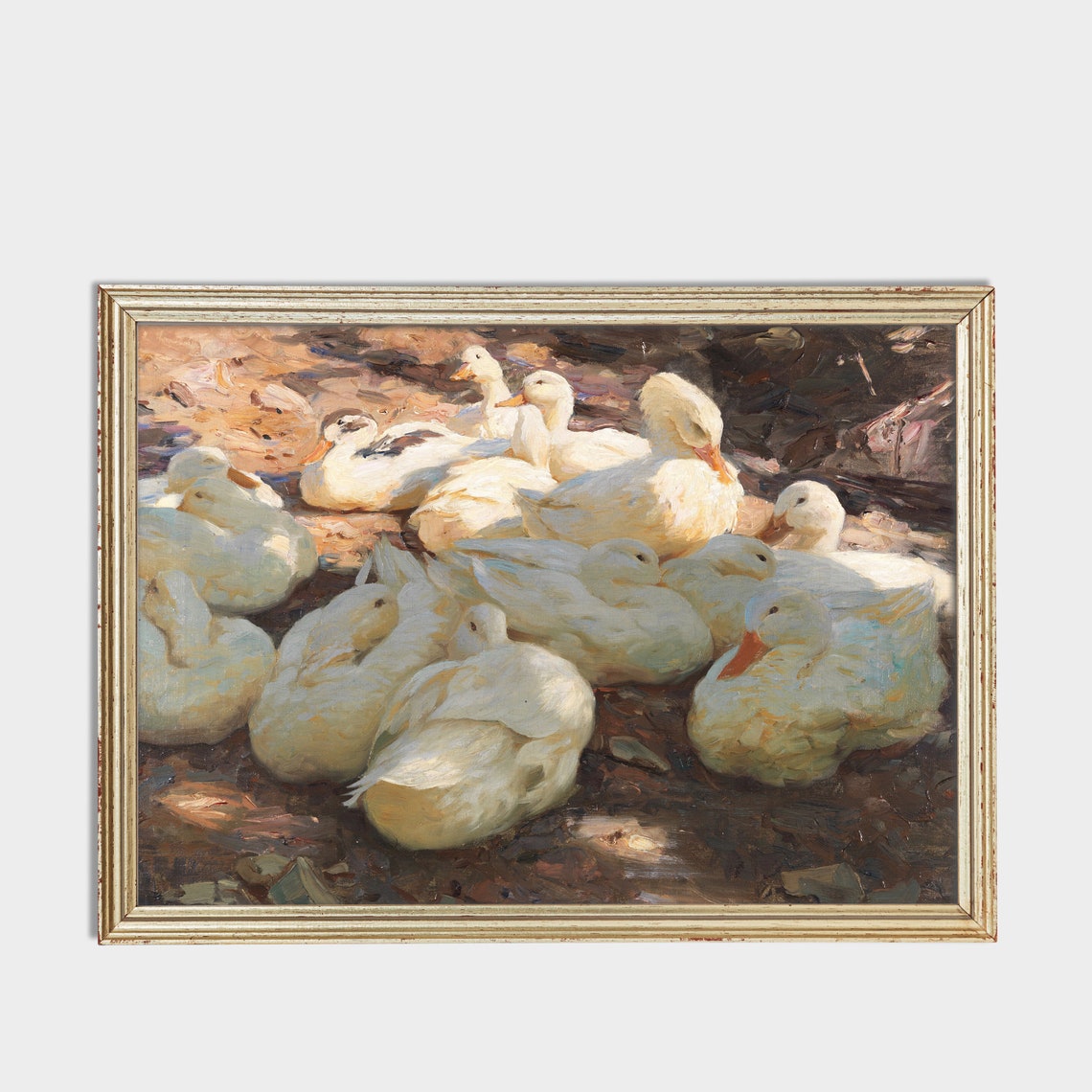 Resting White Ducks In Warm Sunlight Vintage Painting Poster - Image 4