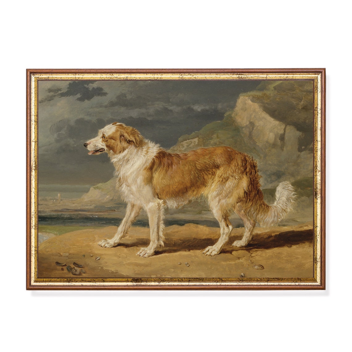 Shaggy Tan and White Dog Standing on a Coastal Beach Scene Poster