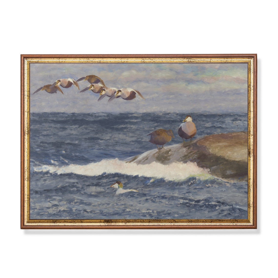 Eider Ducks Flying and Resting Over a Rough Sea Vintage Poster