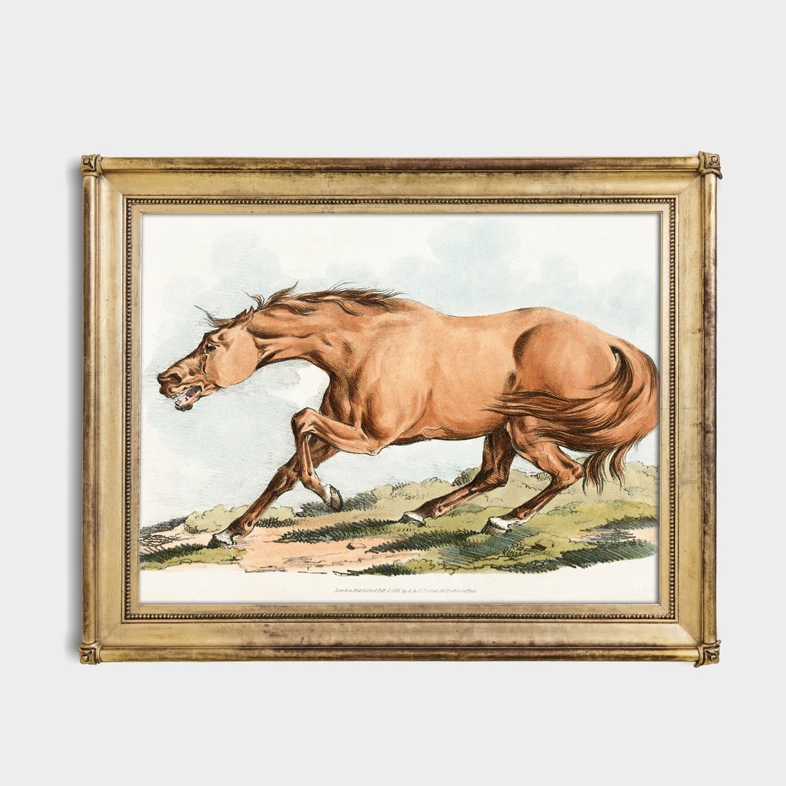 Galloping Chestnut Horse Antique Equine Engraving Vintage Art Poster - Image 3