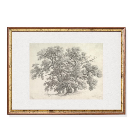 Oak Trees Sketch Vintage Drawing Print Antique Neutral Artwork Wall Art Minimalist Landscape Decor