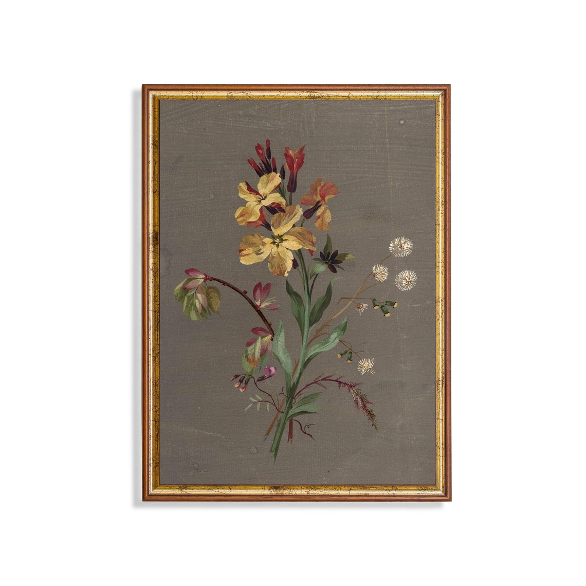 Antique Wallflower Botanical Sketch on Grey Paper Floral Poster