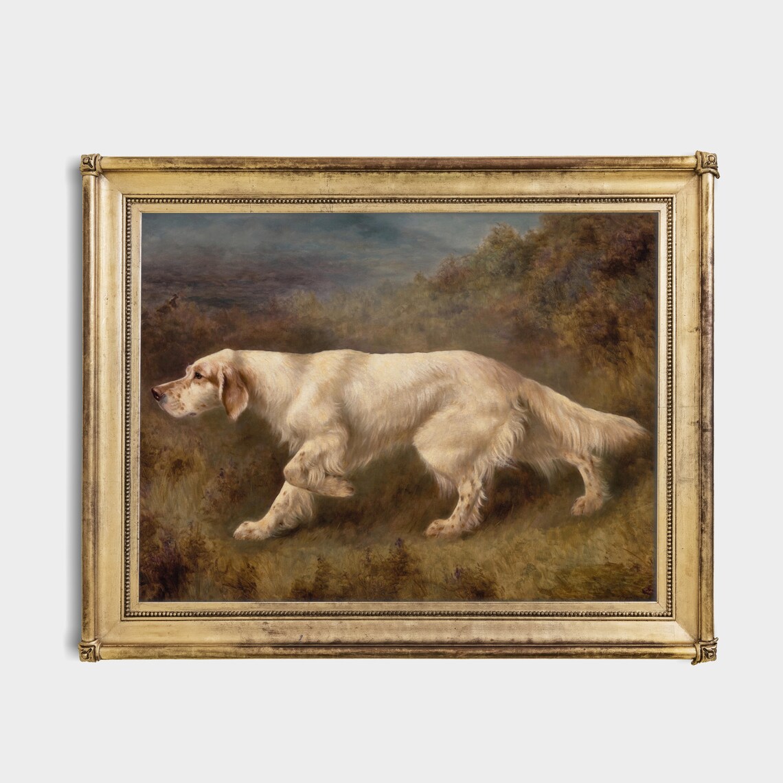 Vintage Painting of a White English Setter Running in the Moor Poster - Image 3