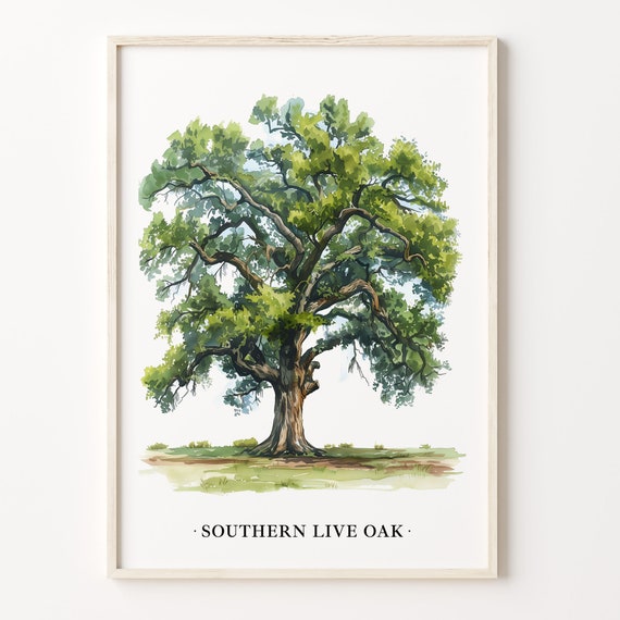 Southern Live Oak Tree Art Print Wall Art Poster Nature Decor Southern Oak Tree Print Landscape Art C31 483