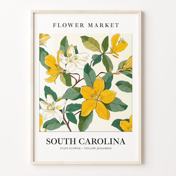 South Carolina State Flower, Yellow Jessamine Art Print