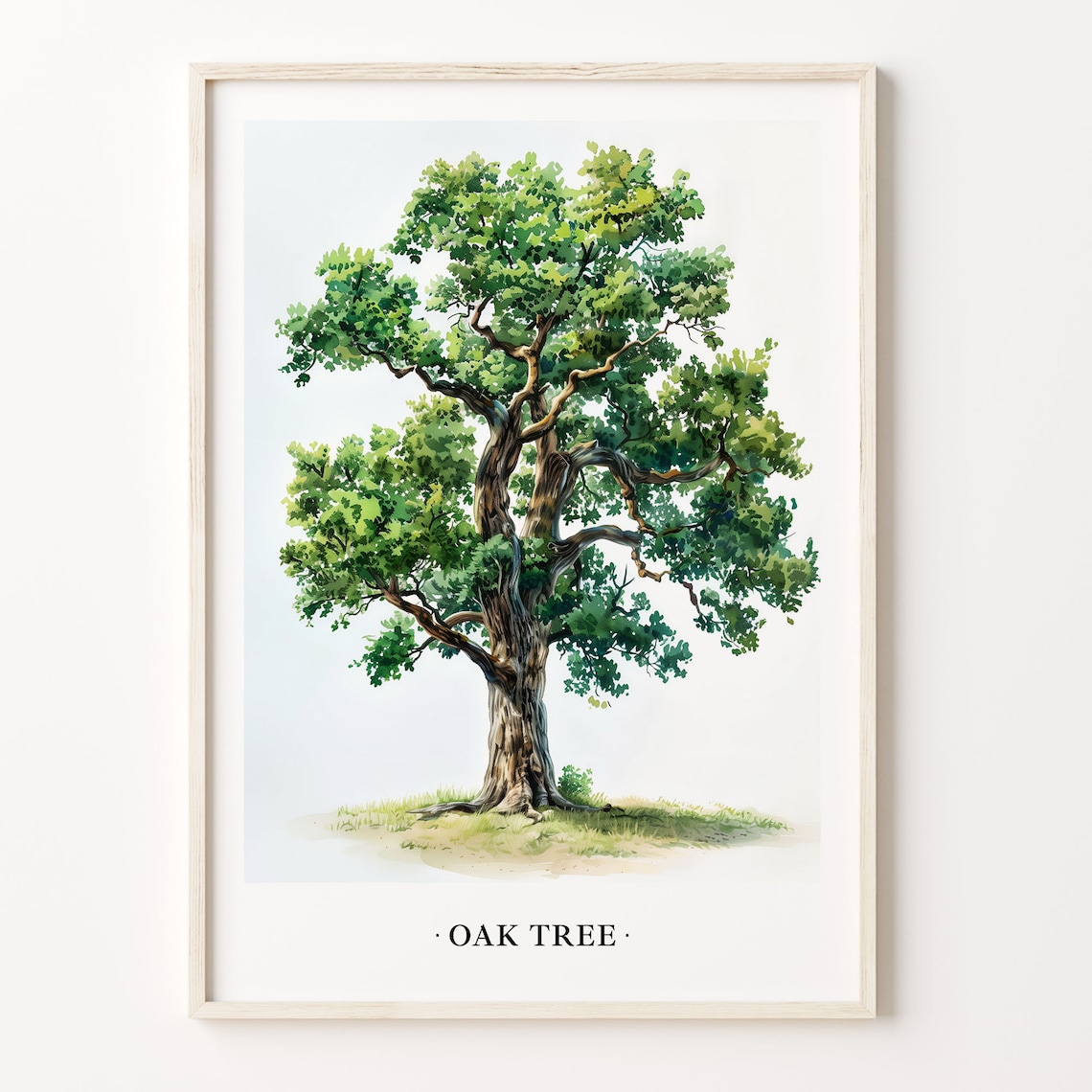 Oak Tree Art Print, Nature Botanical Illustration
