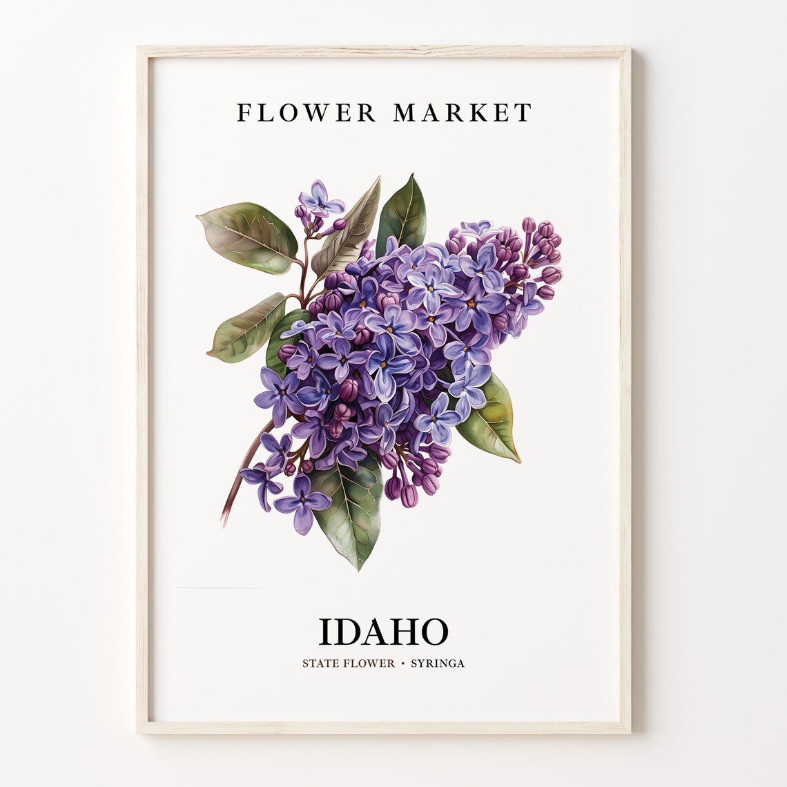 Idaho State Flower Syringa Art Print, Botanical Decor
