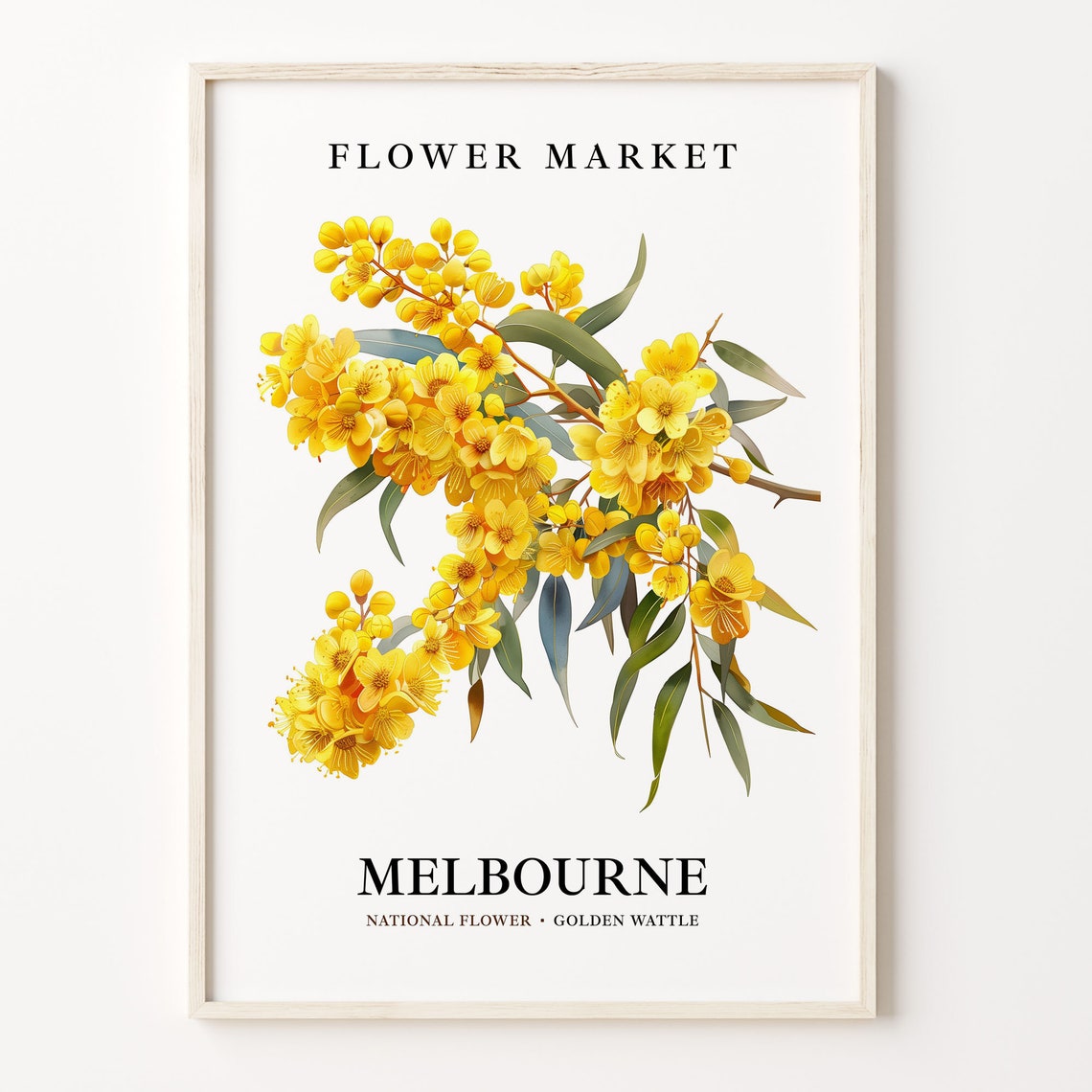 Melbourne Golden Wattle Flower Market Botanical Watercolor Art Poster
