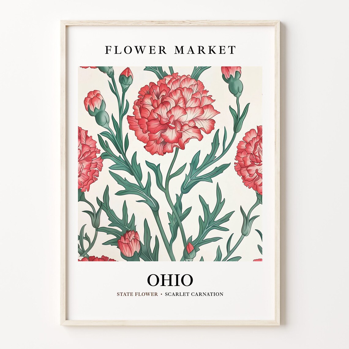 Ohio State Flower Art Print, Scarlet Carnation