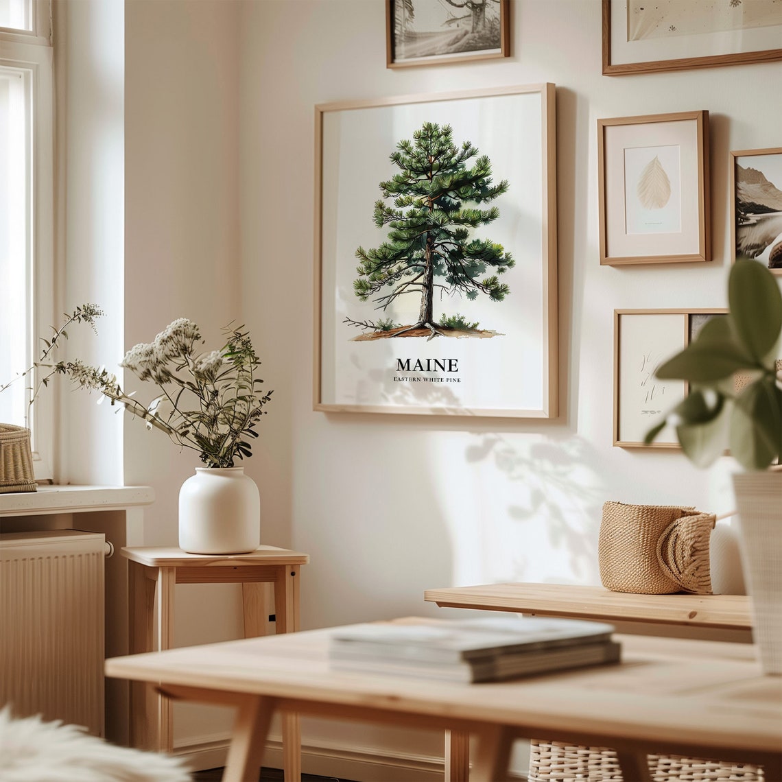 Maine Eastern White Pine State Tree Classic Botanical Art Poster - Image 2
