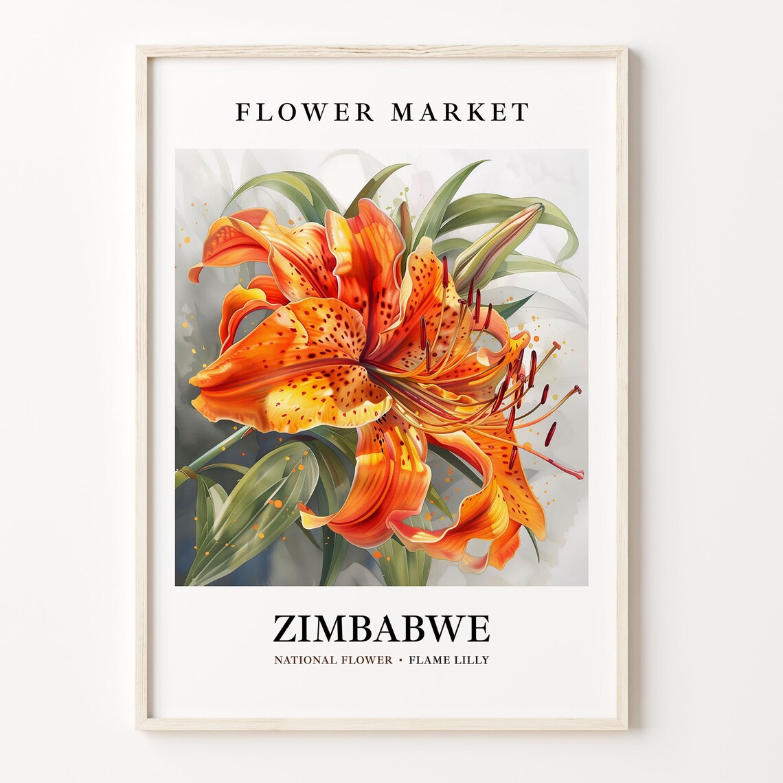 Zimbabwe National Flower Art Print, Flame Lily Botanical