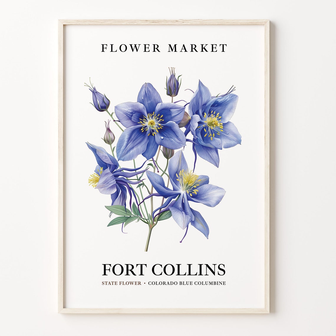 Fort Collins Colorado Blue Columbine Flower Market Art Poster