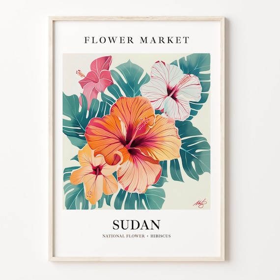 Sudan Flower Market Art Print Hibiscus Wall Art Botanical Pastel Artwork Sudan Flower Decor Floral Art C31 588