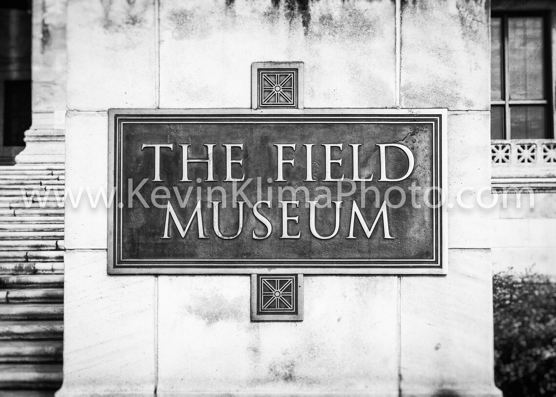 The Field Museum Bronze Plaque Sign Downtown Chicago Photo Poster - Image 2