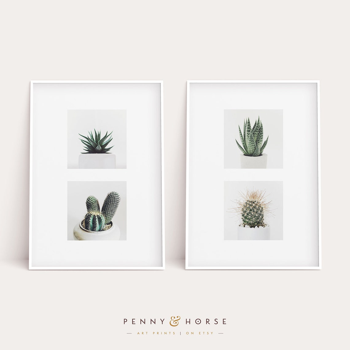 Potted Cactus and Succulent Photo Prints Modern Botanical Wall Poster - Image 4