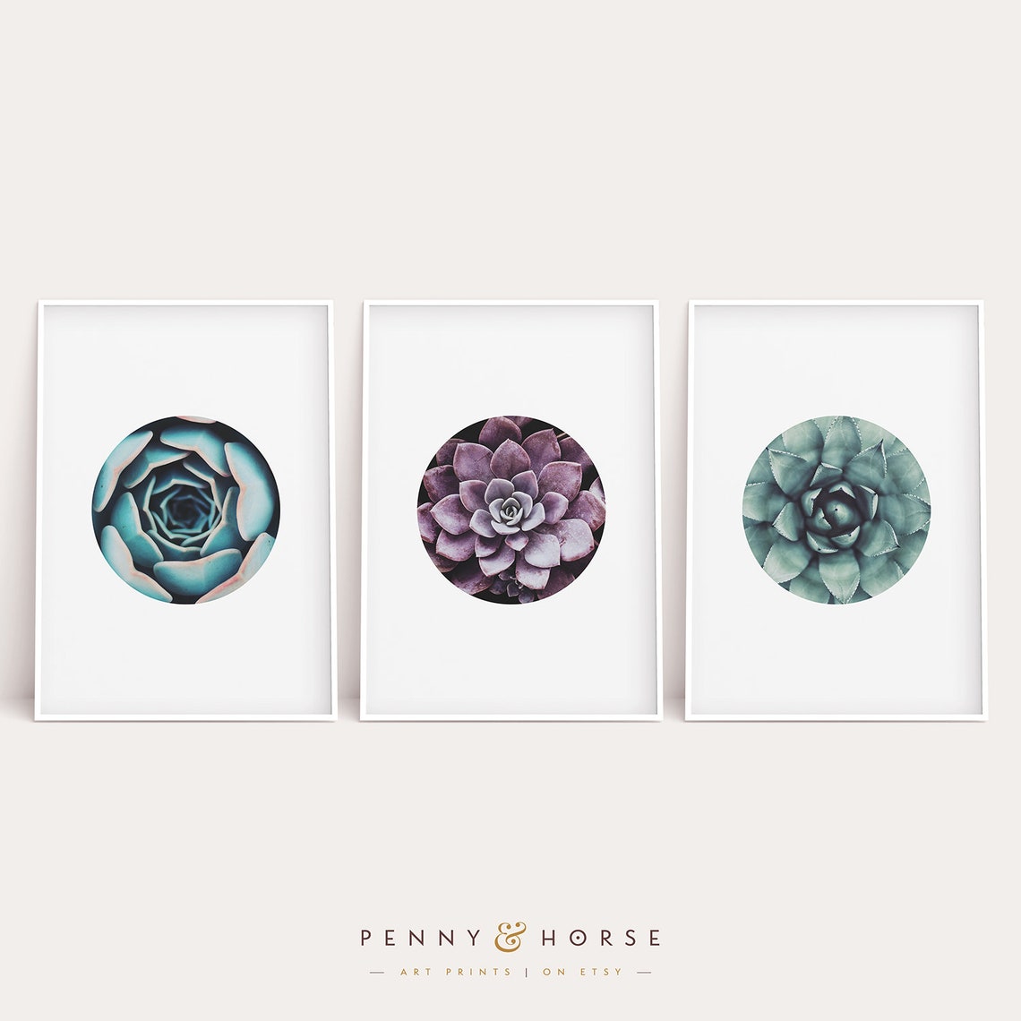 Succulent Botanical Prints Set of Three Colorful Modern Wall Art