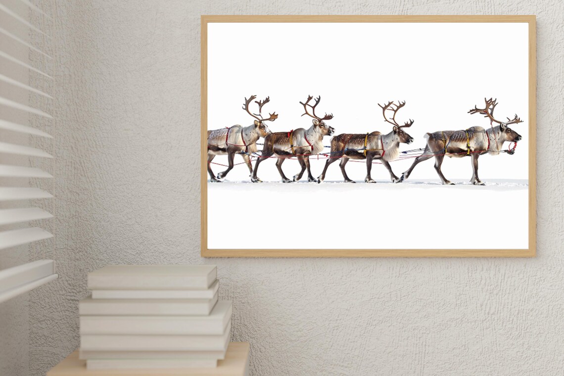 Four Reindeer Walking in a Row Across the Snowy Tundra Poster - Image 6