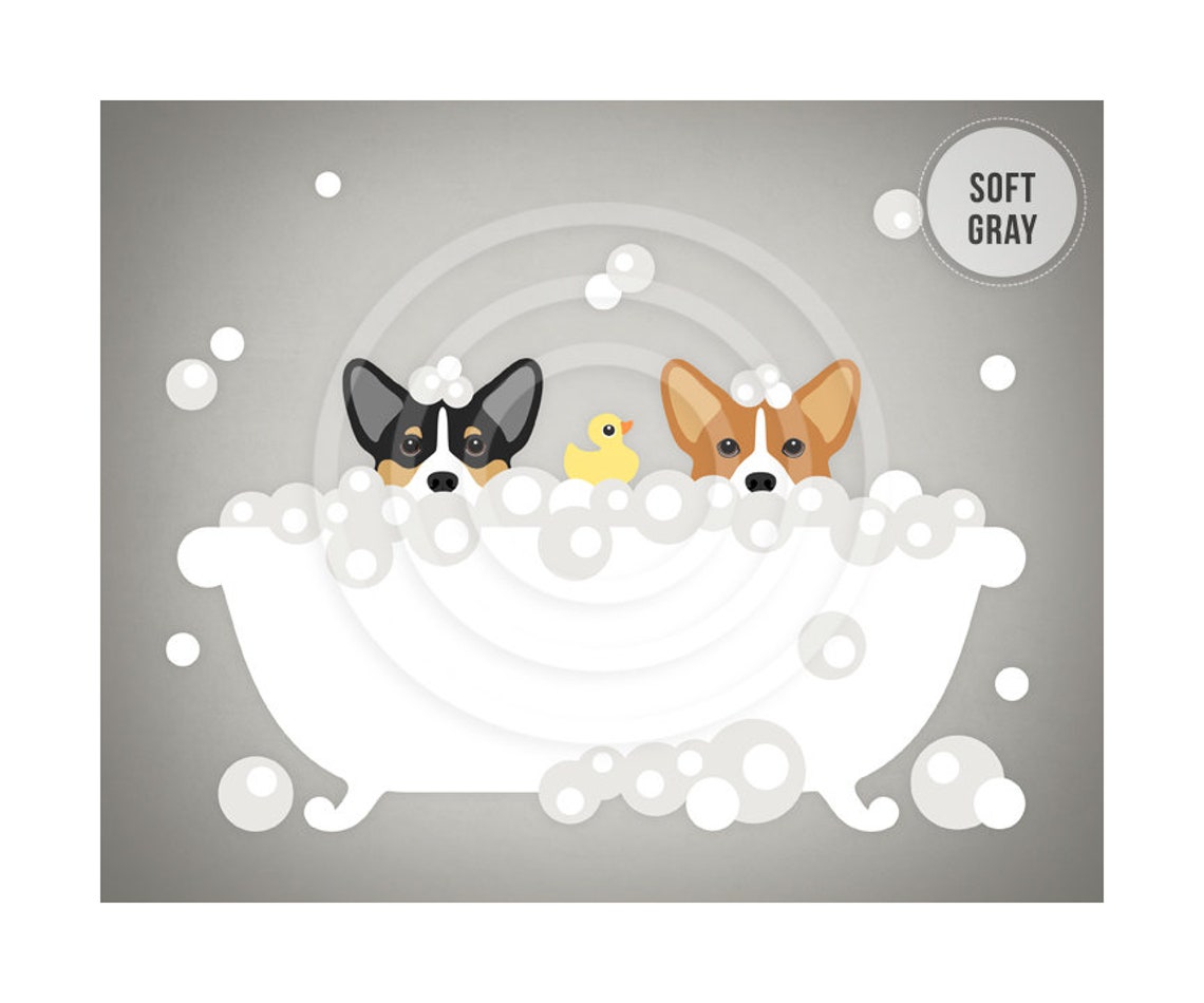 Two Corgi Dogs Peeking Bubble Bath Rubber Ducky Teal Bathroom Poster - Image 3