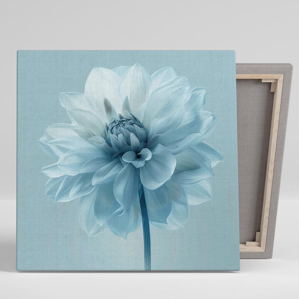 Pale Blue Dahlia Bloom Monochrome Soft Blue Floral Wall Art Print