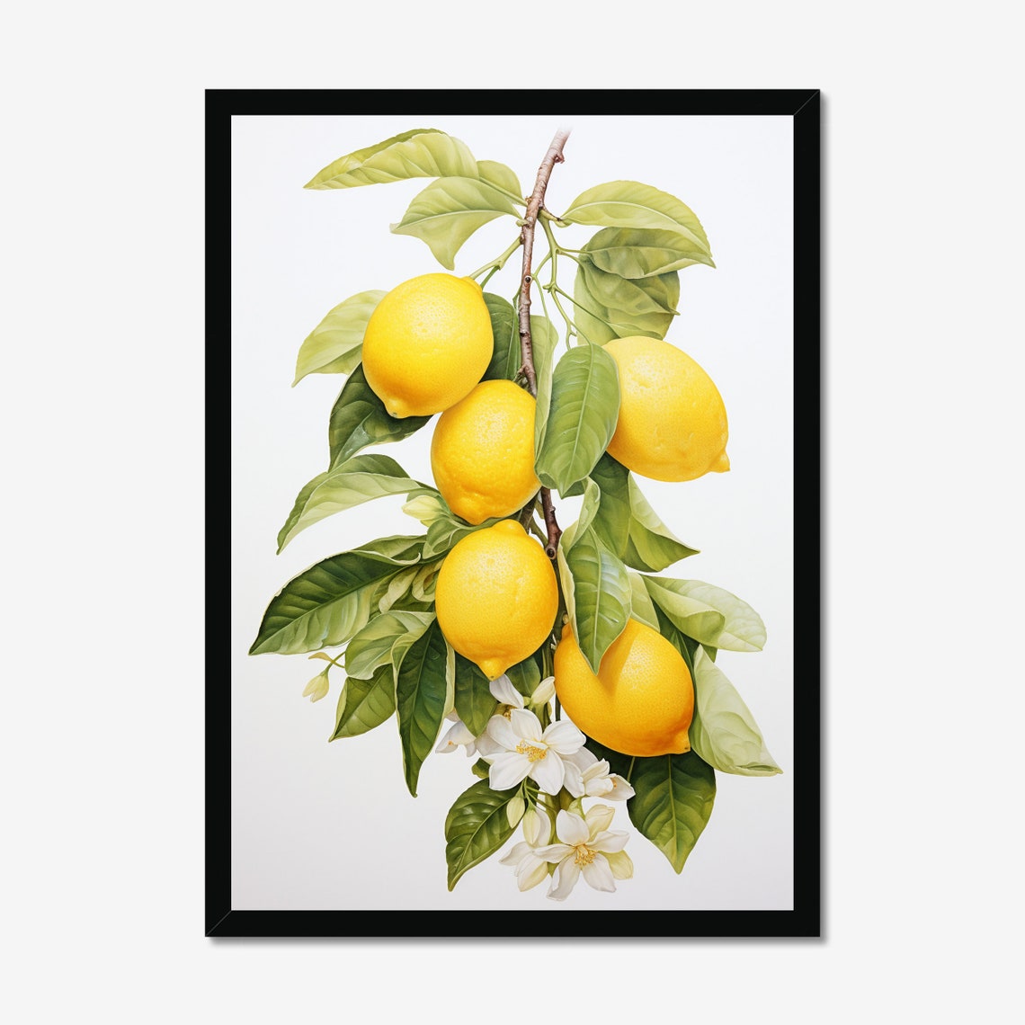 Bright Lemon Branch Botanical Illustration Kitchen Art Poster