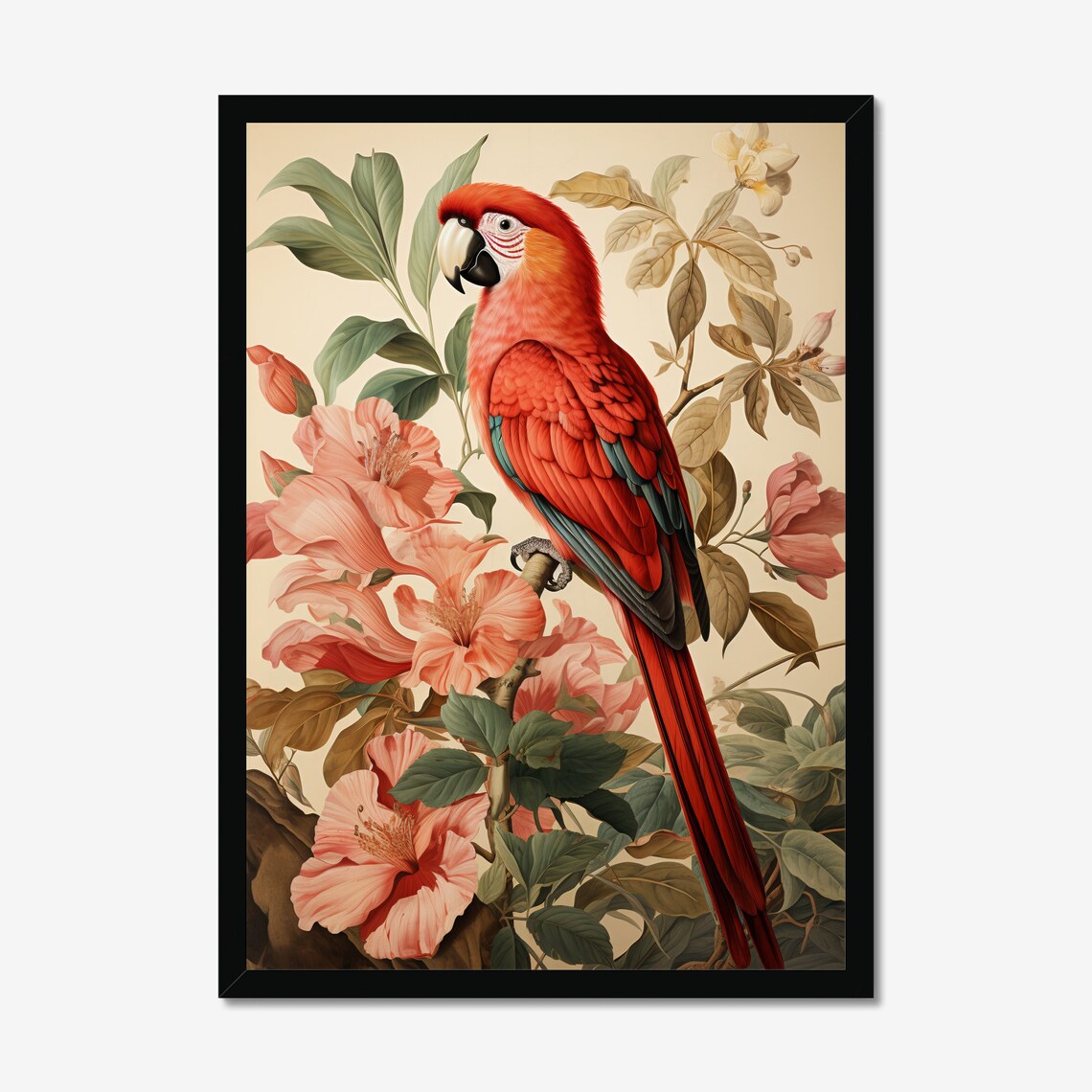 Scarlet Macaw with Pink Hibiscus Vintage Botanical Illustration Poster