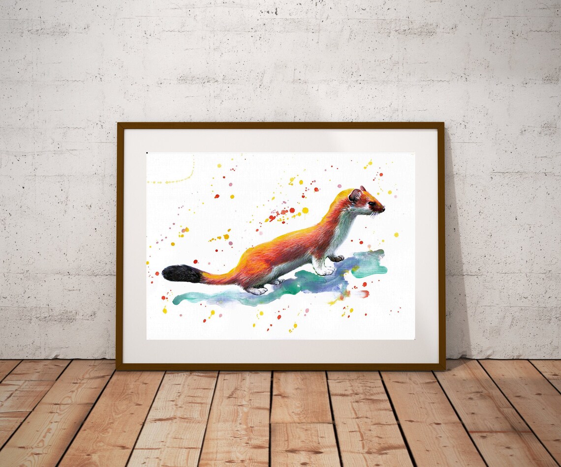 Weasel Stoat Wildlife Animal Watercolor Painting Nature Splash Poster