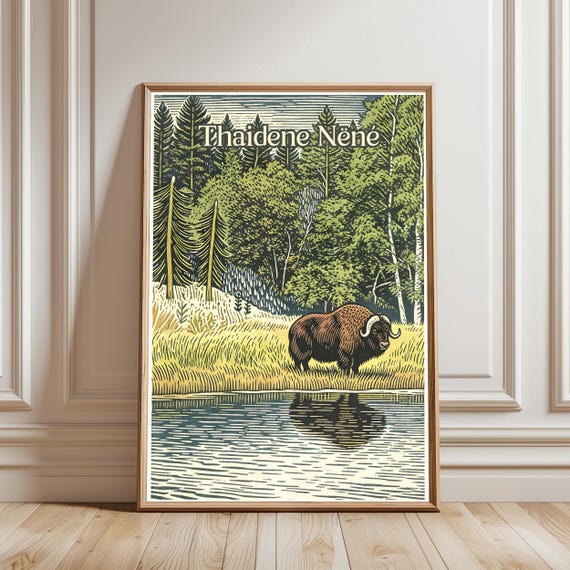Thaidene Nene Musk Ox Woodcut Style Nature Poster