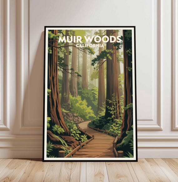 Muir Woods Travel Poster California National Monument Art