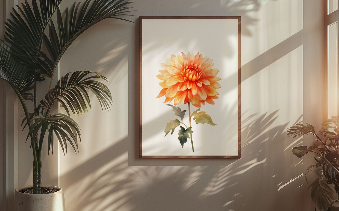 Peach Orange Dahlia Single Bloom Watercolour Botanical Poster - Image 9