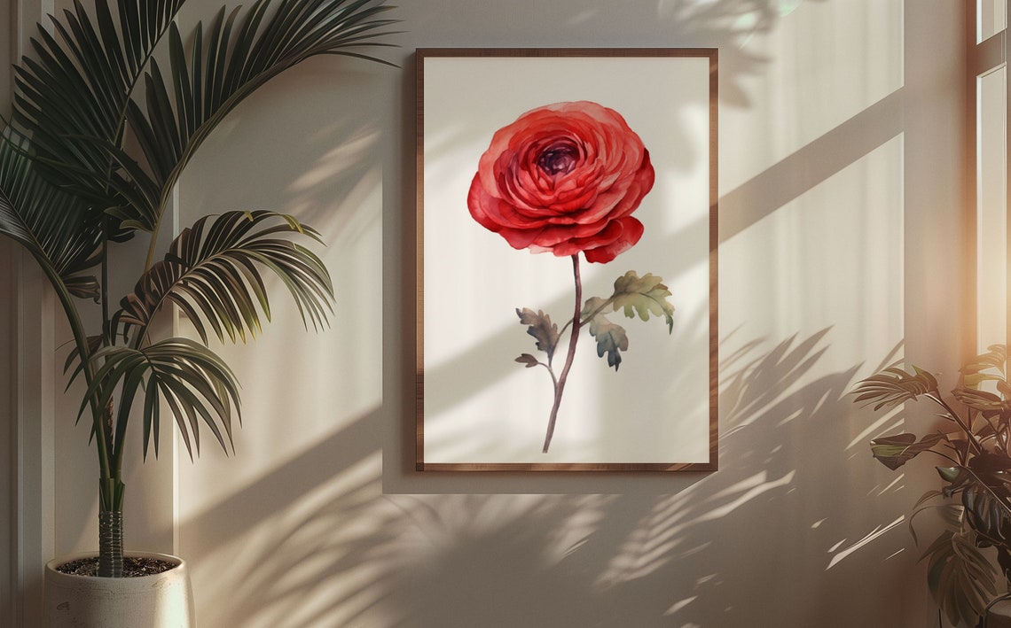 Red Ranunculus Single Bloom Watercolour Botanical Flower Poster - Image 5