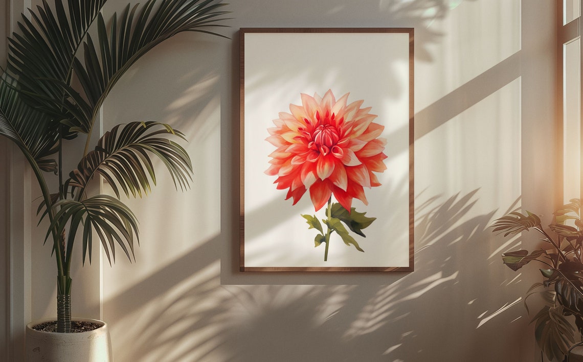 Crimson Red Dahlia Peach Highlight Watercolour Botanical Art Poster - Image 6