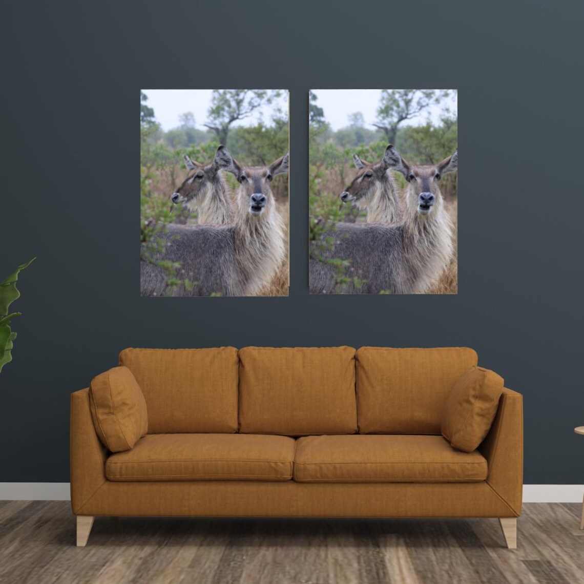 Two Waterbuck Antelope Standing Close In The African Savanna Poster - Image 3