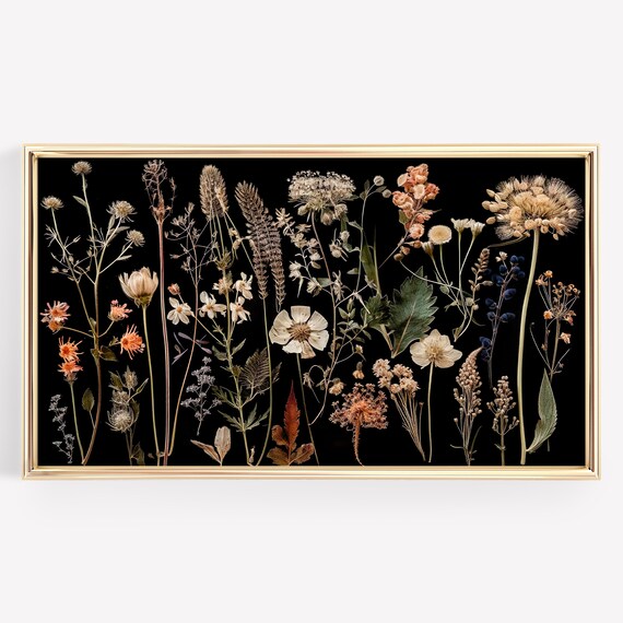 Pressed Wildflowers on Black Vintage Botanical Herbarium Poster