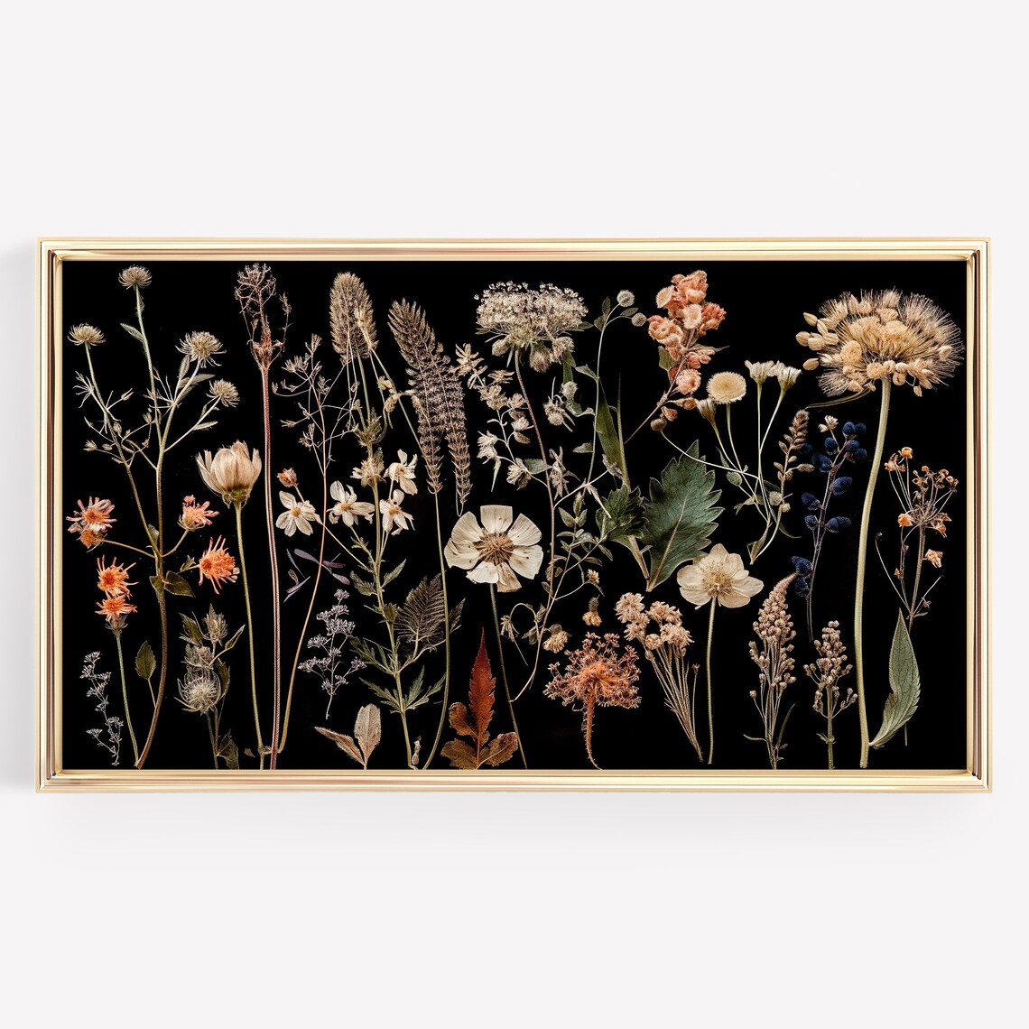 Pressed Wildflowers on Black Vintage Botanical Herbarium Poster