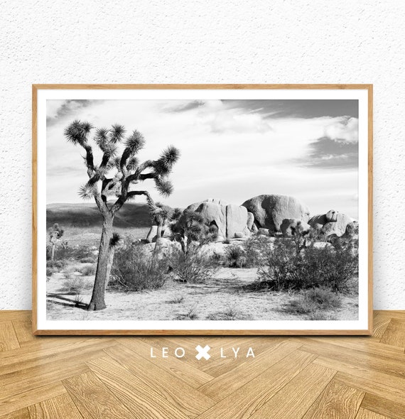 Cactus Print Arizona Desert Nature Poster